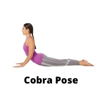 cobra pose