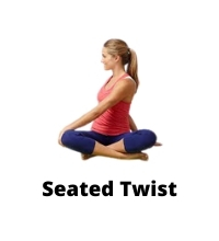 seated twist