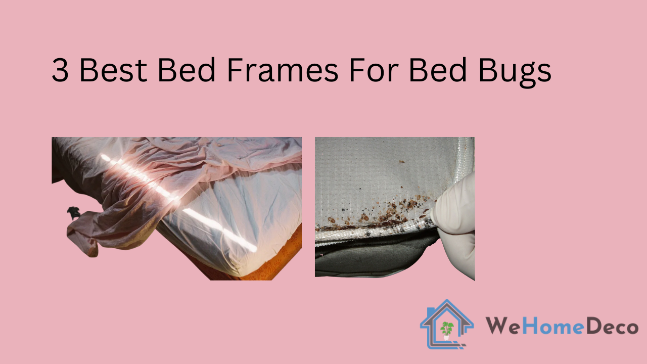 3 Best Metal Bed Frames For Bed Bugs We Home Deco