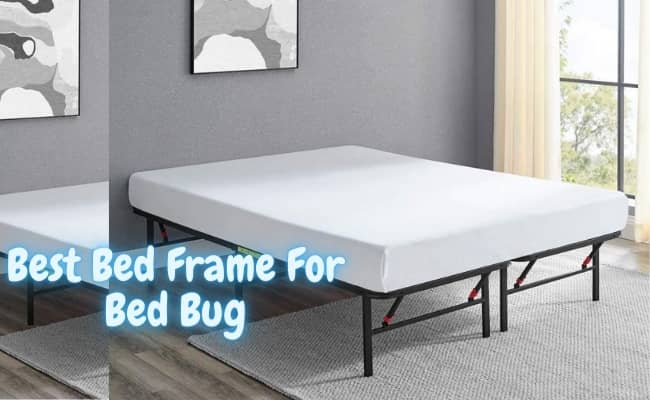 Best Bed Frame For Bed Bug
