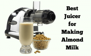 best juicer for making almond milk