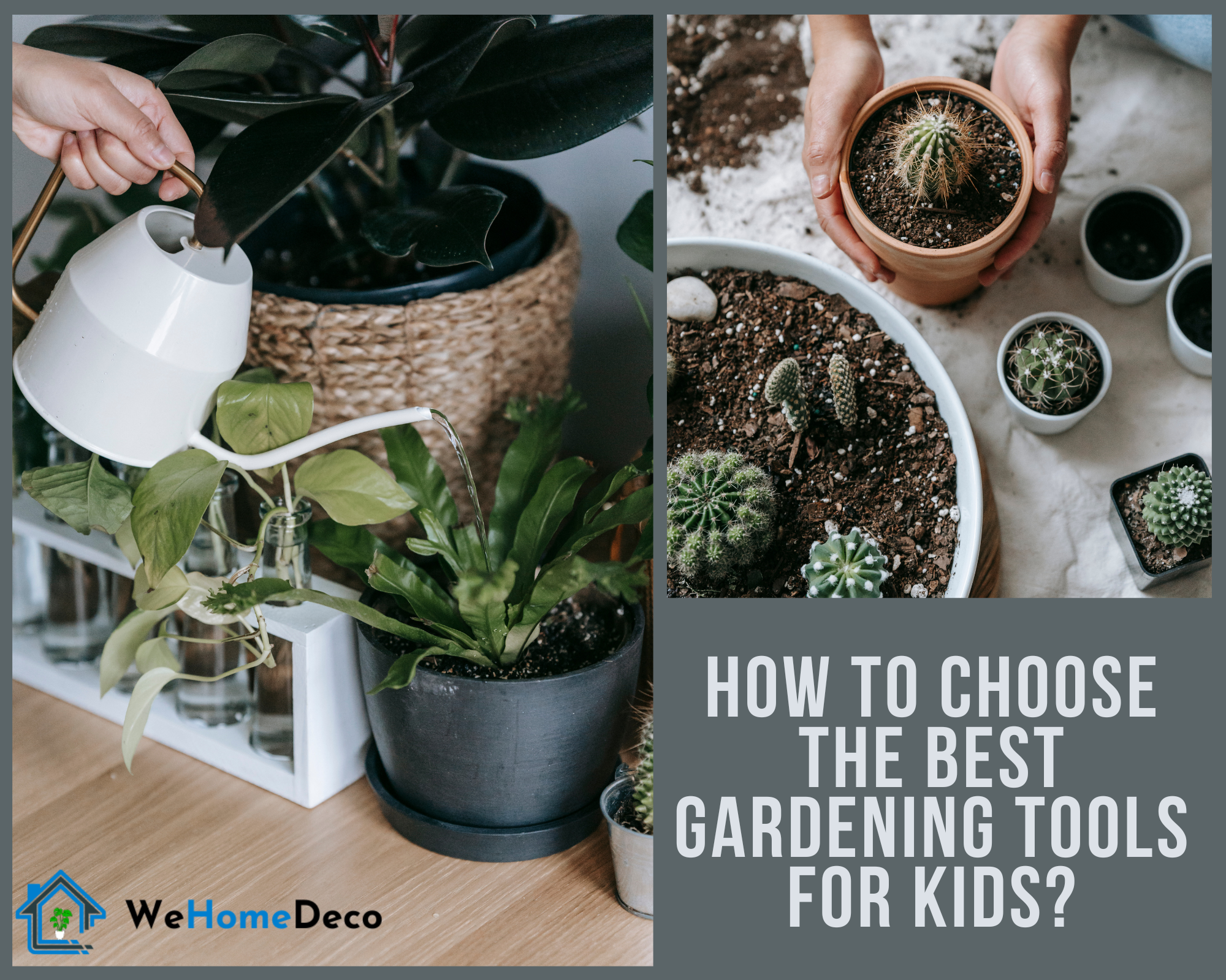 How to Choose the Best Gardening Tools for kids?