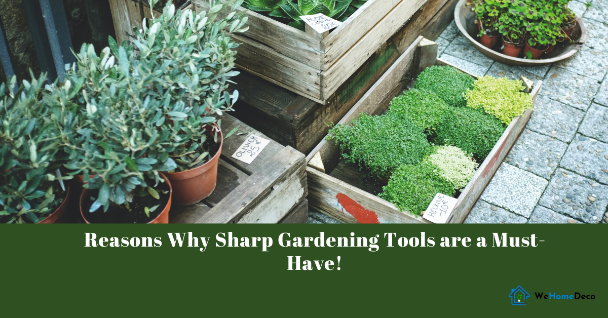 7 Important Reasons Why Sharp Gardening Tools Are a MustHave! We