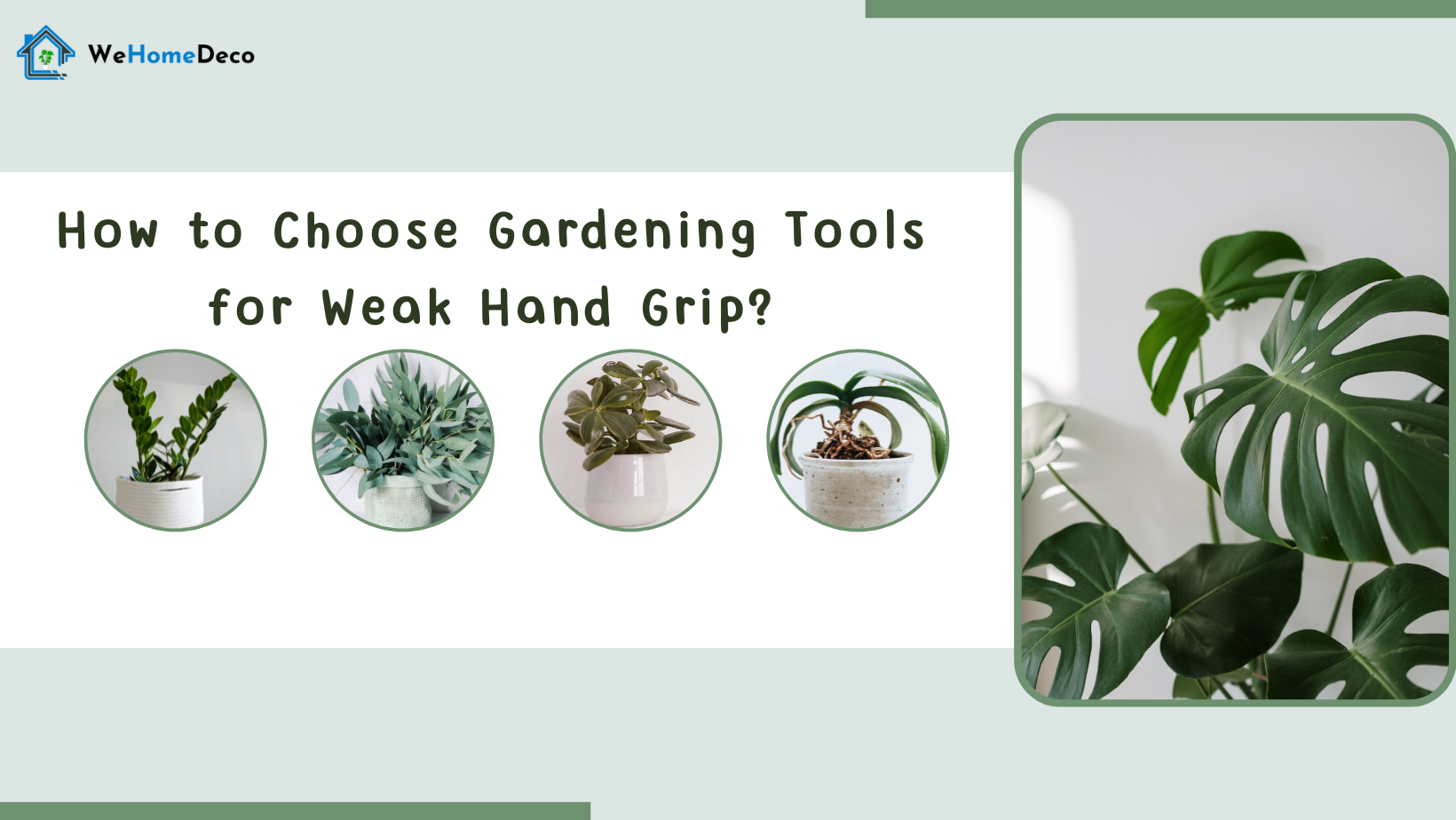 How to Choose Gardening Tools for Weak Hand Grip?