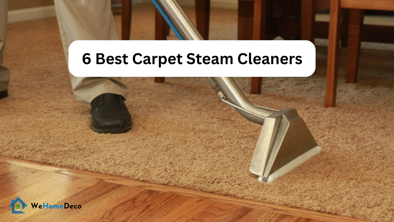 6 Best Carpet Steam Cleaners We Home Deco