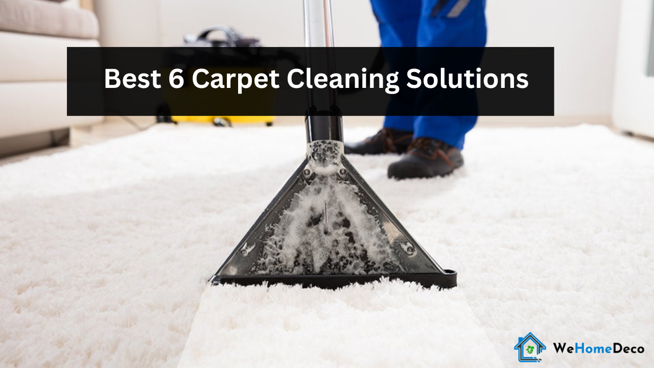 Best 6 Carpet Cleaning Solutions We Home Deco